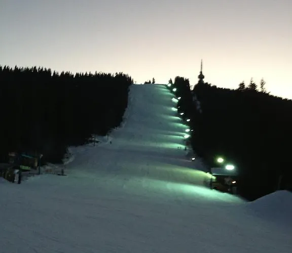 Christina In Laplandia Apartment