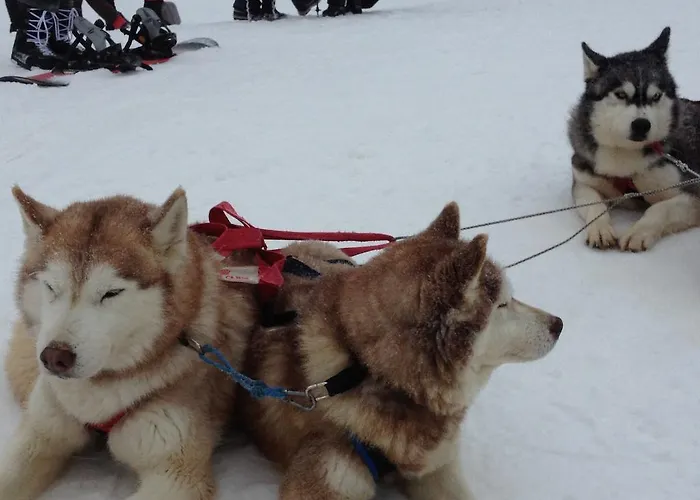 Christina In Laplandia Apartment *